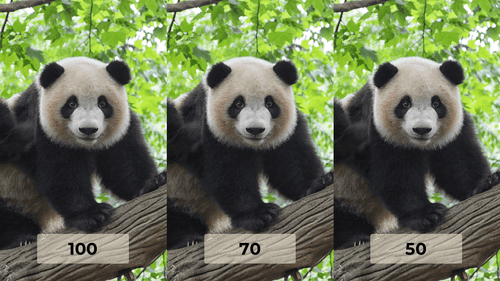 3 images of a panda